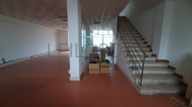 Loja · Torres Novas, Santarém