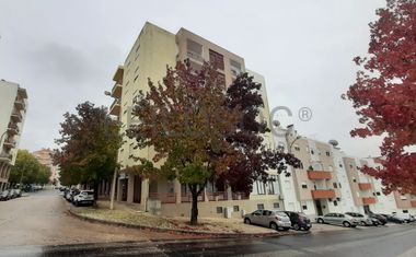 Loja · Torres Novas, Santarém