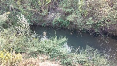 Proporção 1/3 de Terreno · Asseiceira, Tomar