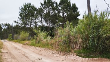 Lote de Terreno para Construção · Gaeiras, Óbidos
