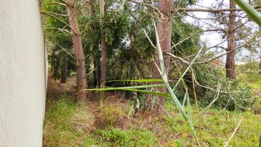 Lote de Terreno para Construção · Gaeiras, Óbidos