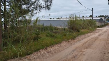 Lote de Terreno para Construção · Gaeiras, Óbidos