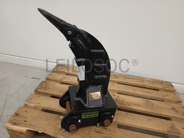 Riper Häner · Ano 2025