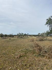 Terreno com 5,775 hectares · Serpa