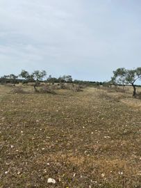 Terreno com 5,775 hectares · Serpa