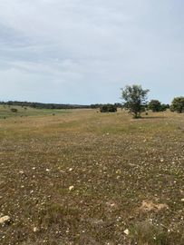 Terreno com 5,775 hectares · Serpa