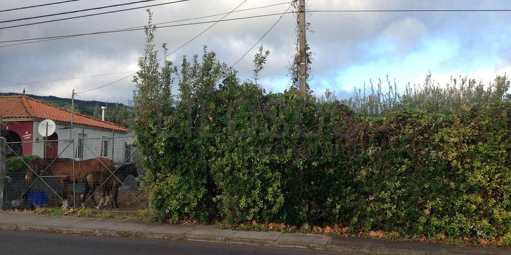 Proporção de 15/120 de Terreno · Feteira, Horta