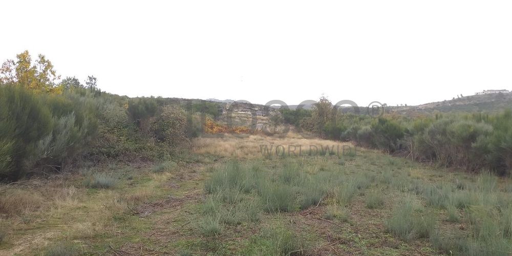 Terreno com Benfeitorias · Vila Real