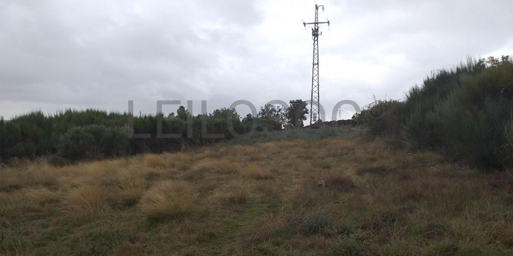 Terreno com Benfeitorias · Vila Real 2