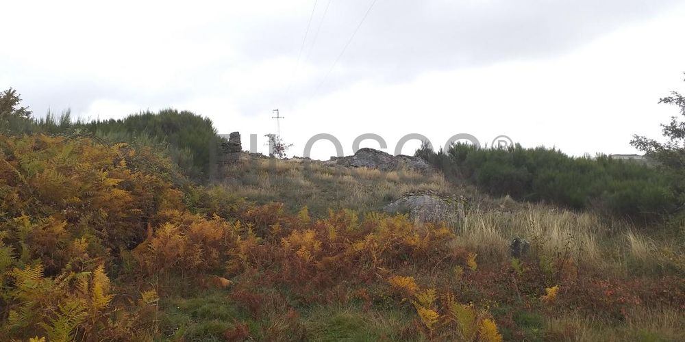 Terreno com Benfeitorias · Vila Real 4