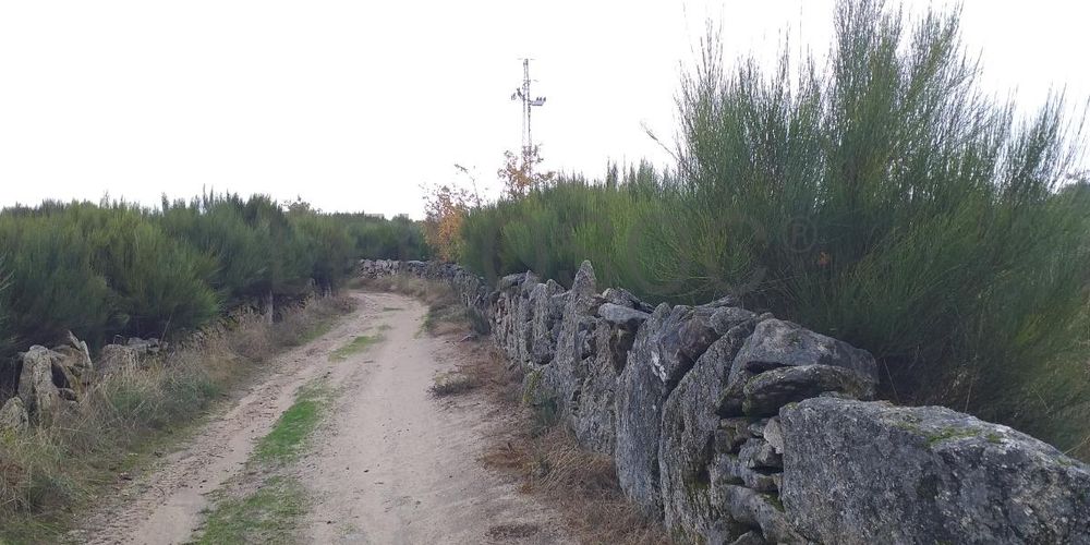 Terreno com Benfeitorias · Vila Real 5