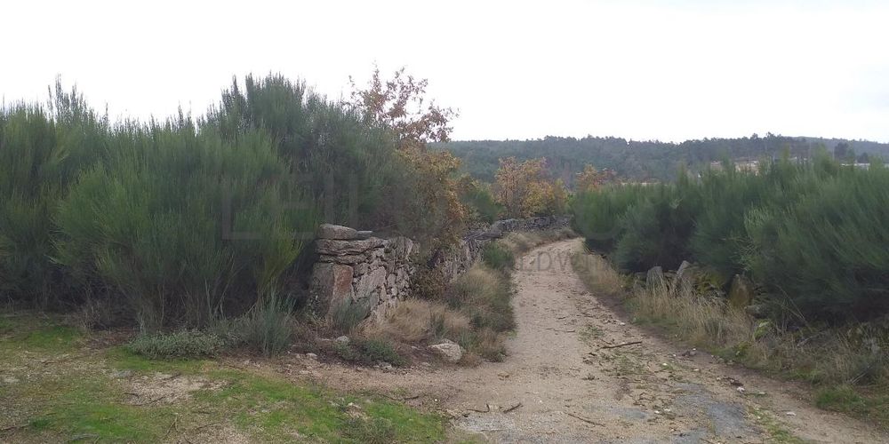 Terreno com Benfeitorias · Vila Real 6