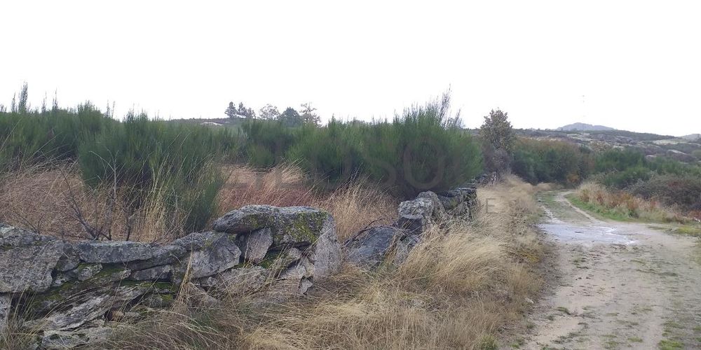 Terreno com Benfeitorias · Vila Real 7