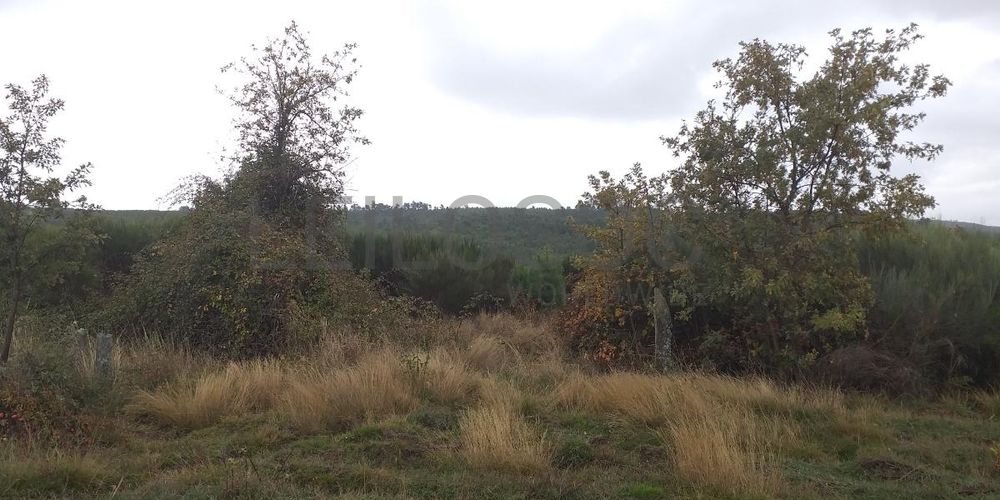 Terreno com Benfeitorias · Vila Real 8