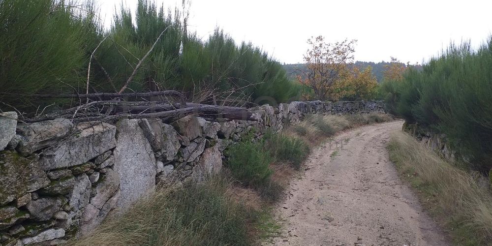 Terreno com Benfeitorias · Vila Real 9