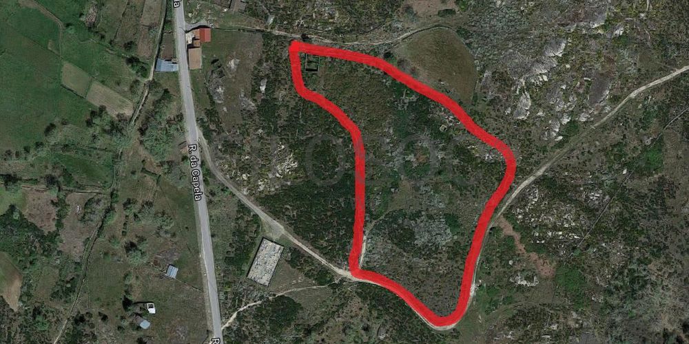 Terreno com Benfeitorias · Vila Real 10