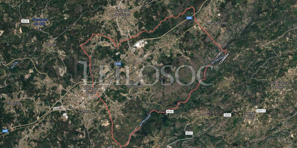 Proporção de 1/5 de 10 Terrenos · Carregal do Sal 54