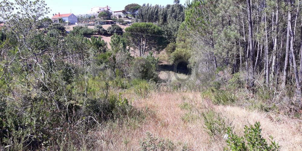 Moradia (Ruínas) · Terrenos · Figueira da Foz 4