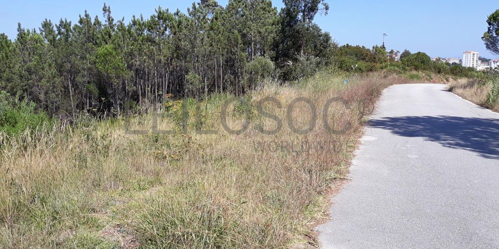 Moradia (Ruínas) · Terrenos · Figueira da Foz 7