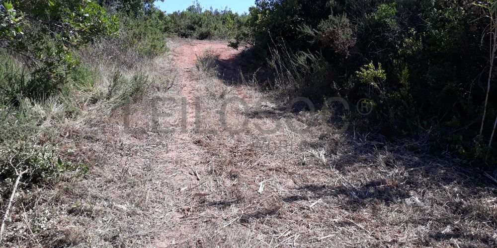 Moradia (Ruínas) · Terrenos · Figueira da Foz 9