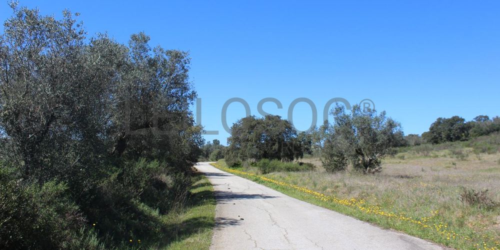 Terrenos · Cuba, Beja 5