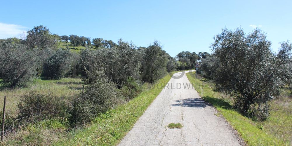 Terrenos · Cuba, Beja 7