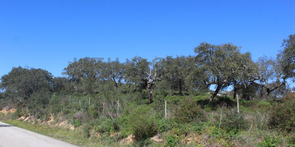 Terrenos · Cuba, Beja 2
