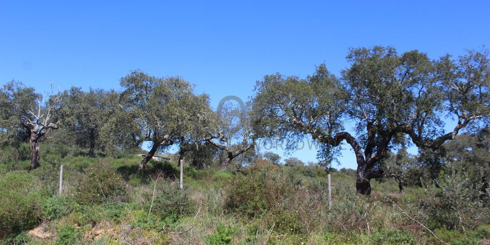 Terrenos · Cuba, Beja 9