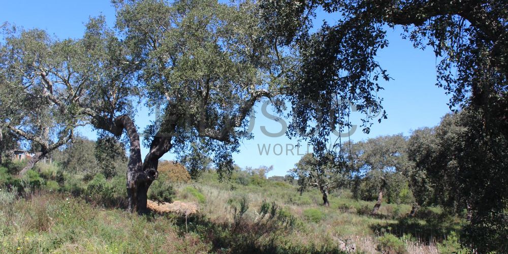 Terrenos · Cuba, Beja 10