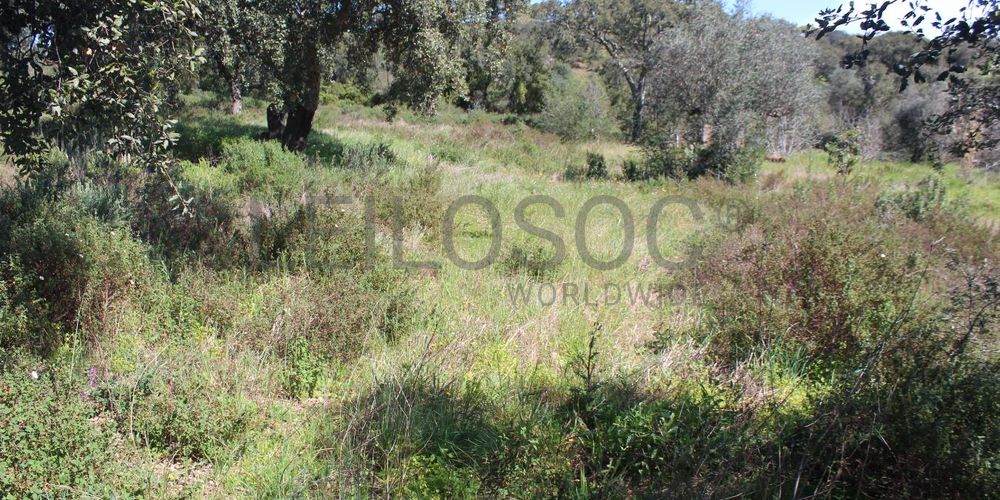 Terrenos · Cuba, Beja 4