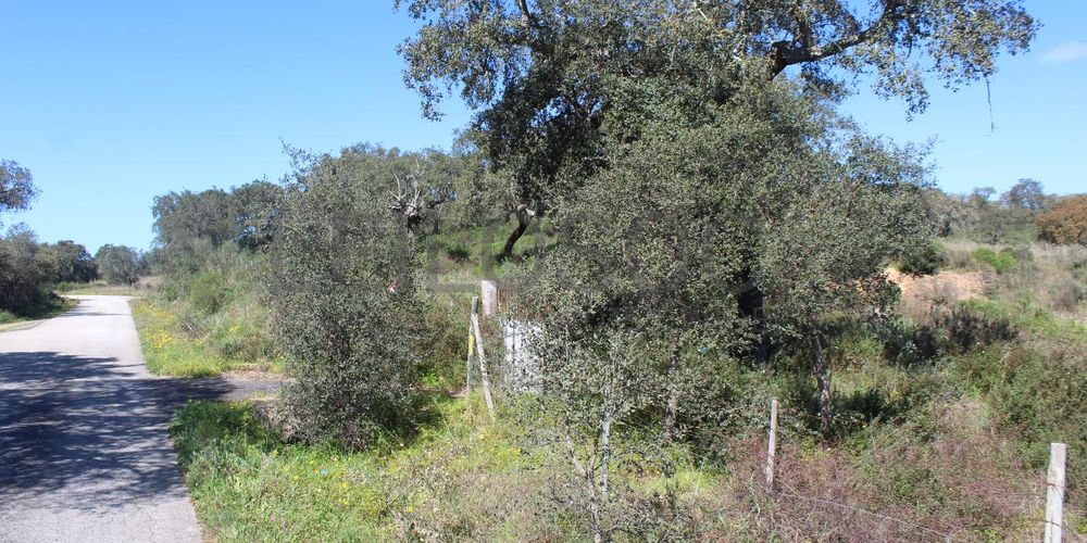 Terrenos · Cuba, Beja 13