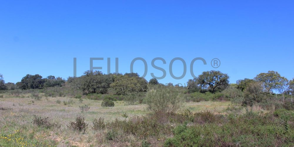 Terrenos · Cuba, Beja 3