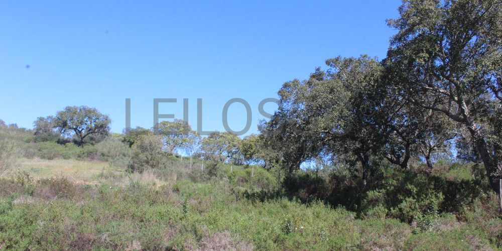 Terrenos · Cuba, Beja