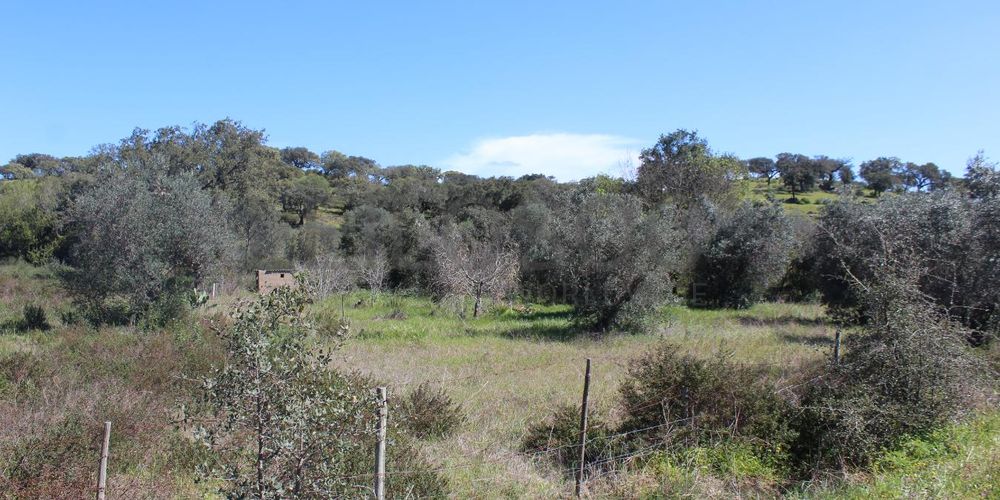 Terrenos · Cuba, Beja 6