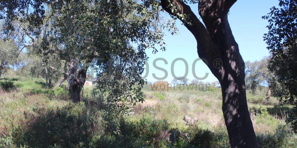 Terrenos · Cuba, Beja 8