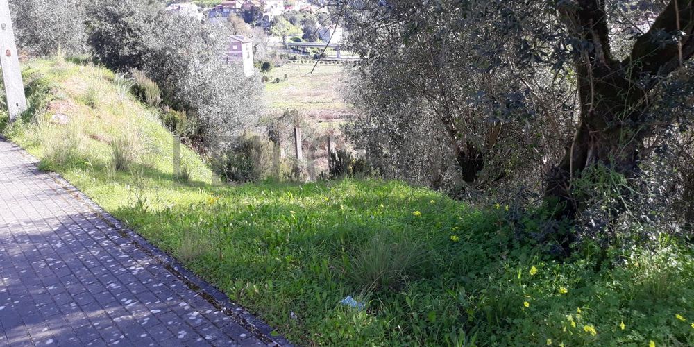 Lote para Construção · Coimbra 5