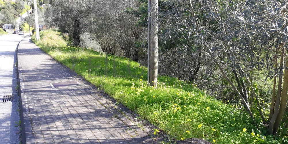 Lote para Construção · Coimbra