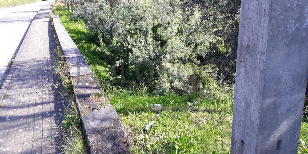 Lote para Construção · Coimbra 3