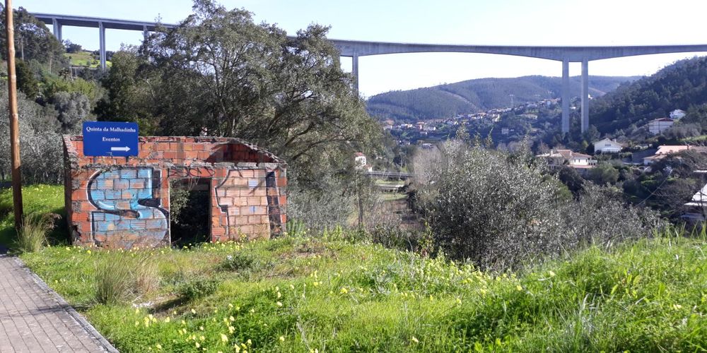 Lote para Construção · Coimbra 6