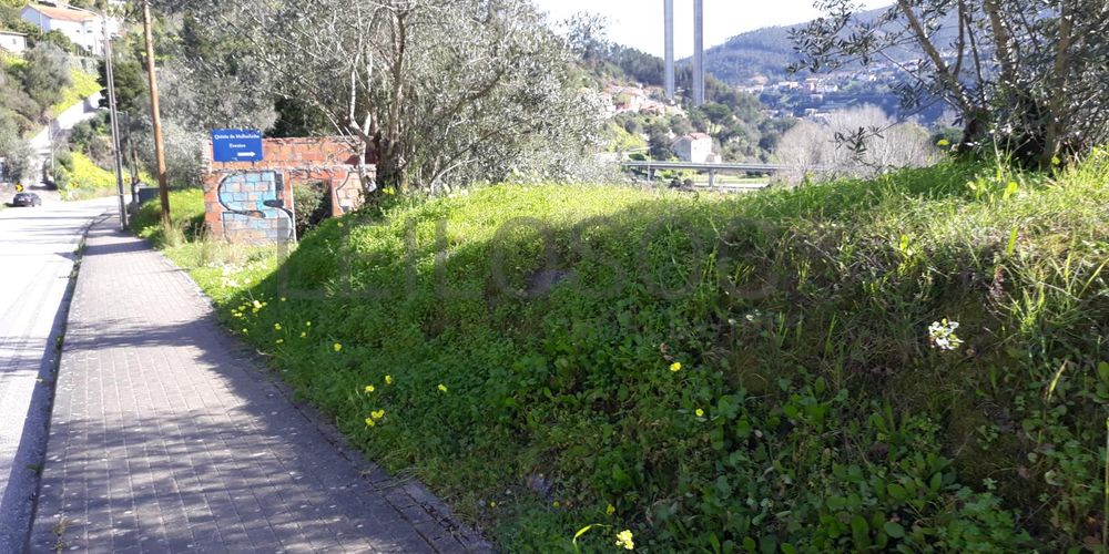 Lote para Construção · Coimbra 4