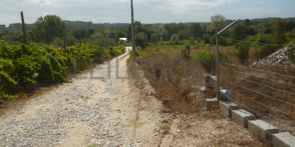 Lote para Construção · Vila Franca das Neves, Trancoso 5