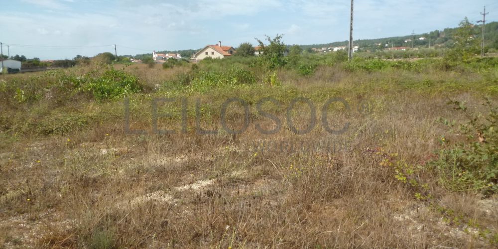 Lote para Construção · Vila Franca das Neves, Trancoso 3