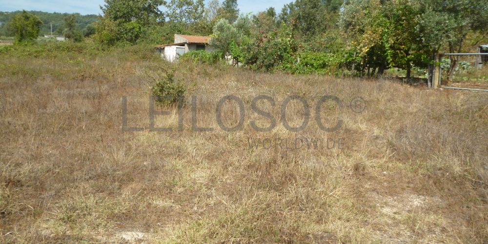 Lote para Construção · Vila Franca das Neves, Trancoso 2