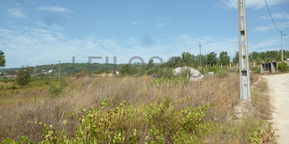 Lote para Construção · Vila Franca das Neves, Trancoso 7