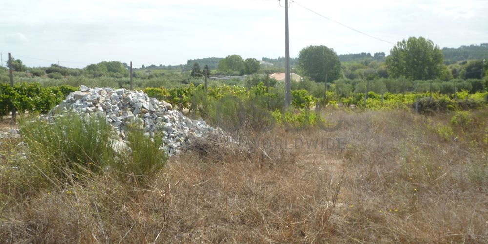 Lote para Construção · Vila Franca das Neves, Trancoso 4