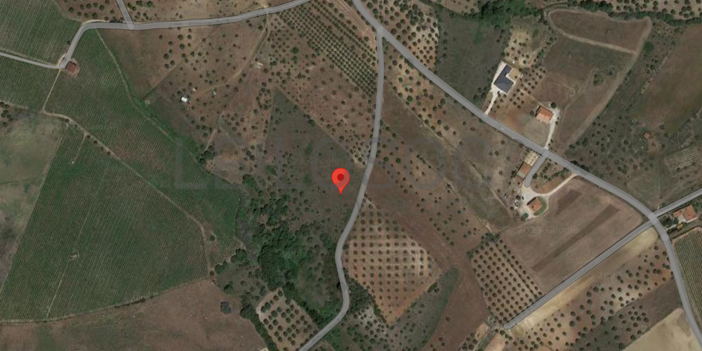 Terreno · Brogueira, Torres Novas 10