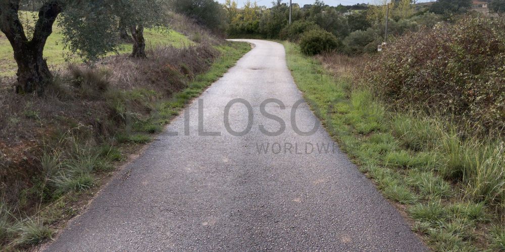 Terreno · Brogueira, Torres Novas 12