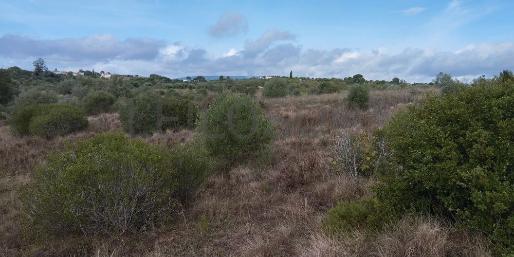 Terreno · Brogueira, Torres Novas 5