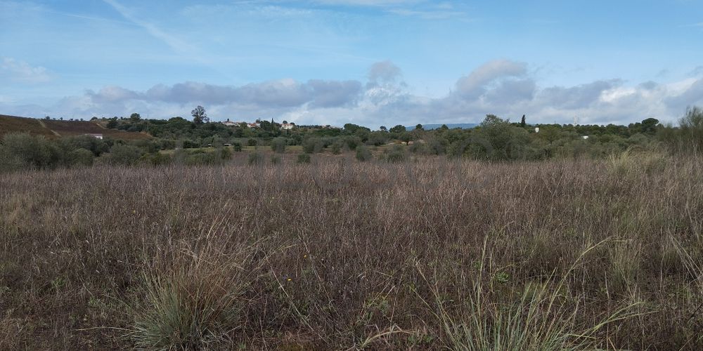 Terreno · Brogueira, Torres Novas 4