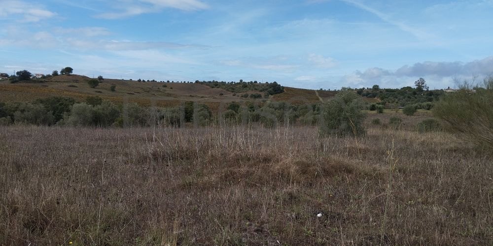 Terreno · Brogueira, Torres Novas 3